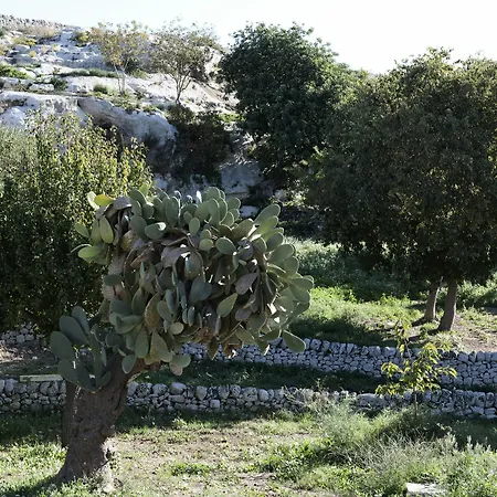 Valle Dell'acanto モーディカ
