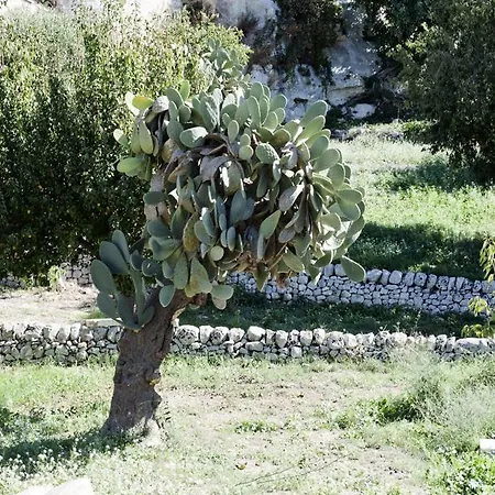 Valle Dell'acanto モーディカ