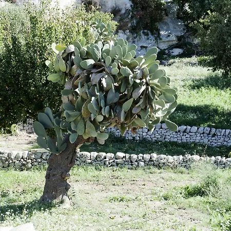Valle Dell'acanto Apartment